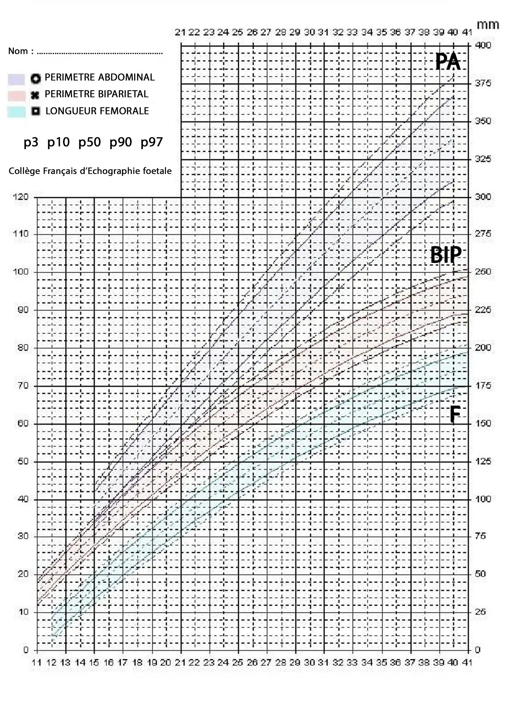 Tableau Mensurations échographiques
