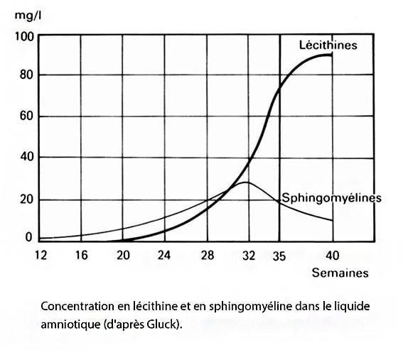 Amniocentèse rapport L/S — lécithine sphingomyéline maturité pulmonaire