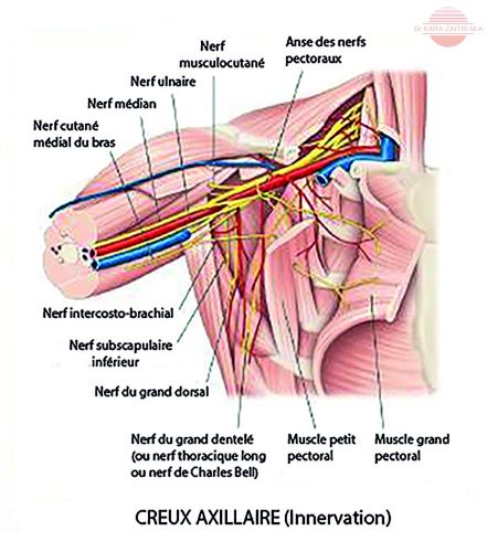 Curage axillaire — technique chirurgicale cancer du sein 2