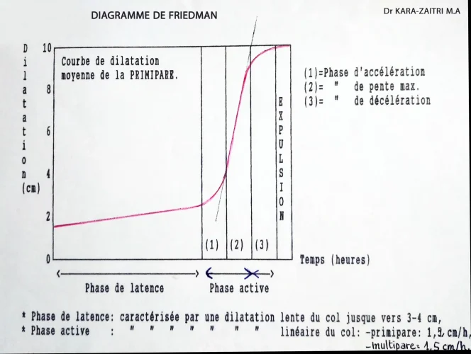 Diagramme de Friedman