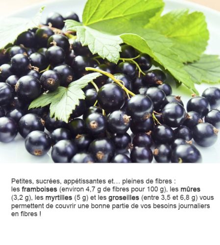 Fibres 5