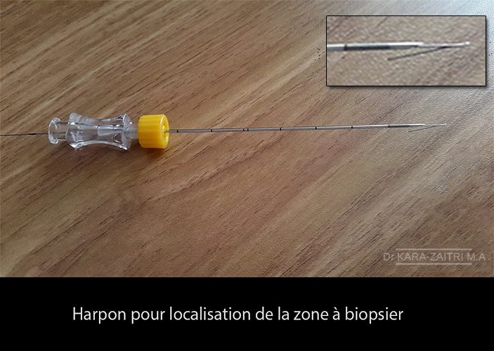 Harpon