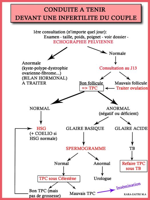 Infertilité catégories — classification étiologique du couple infertile