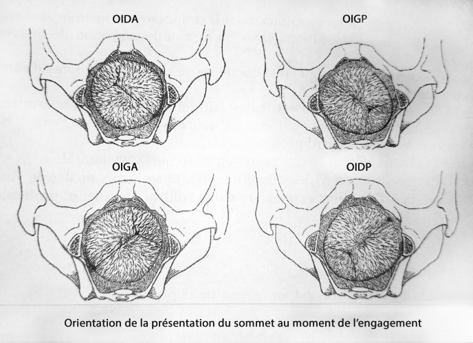 Présentation sommet