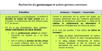 Recherche gonocoque