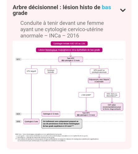 Tableau médical gynécologie-obstétrique — référence 50