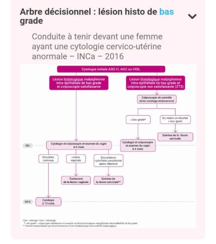 Tableau médical gynécologie-obstétrique — référence 56