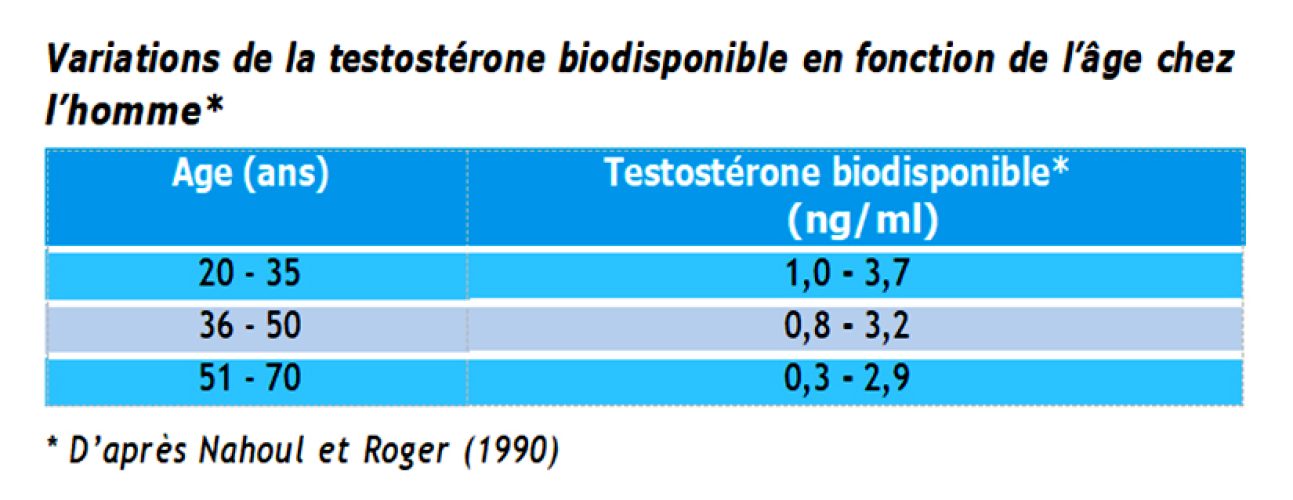 Testostérone